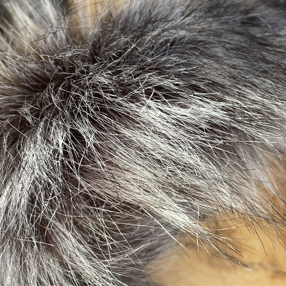 The North face down coat - Picture 8 of 11